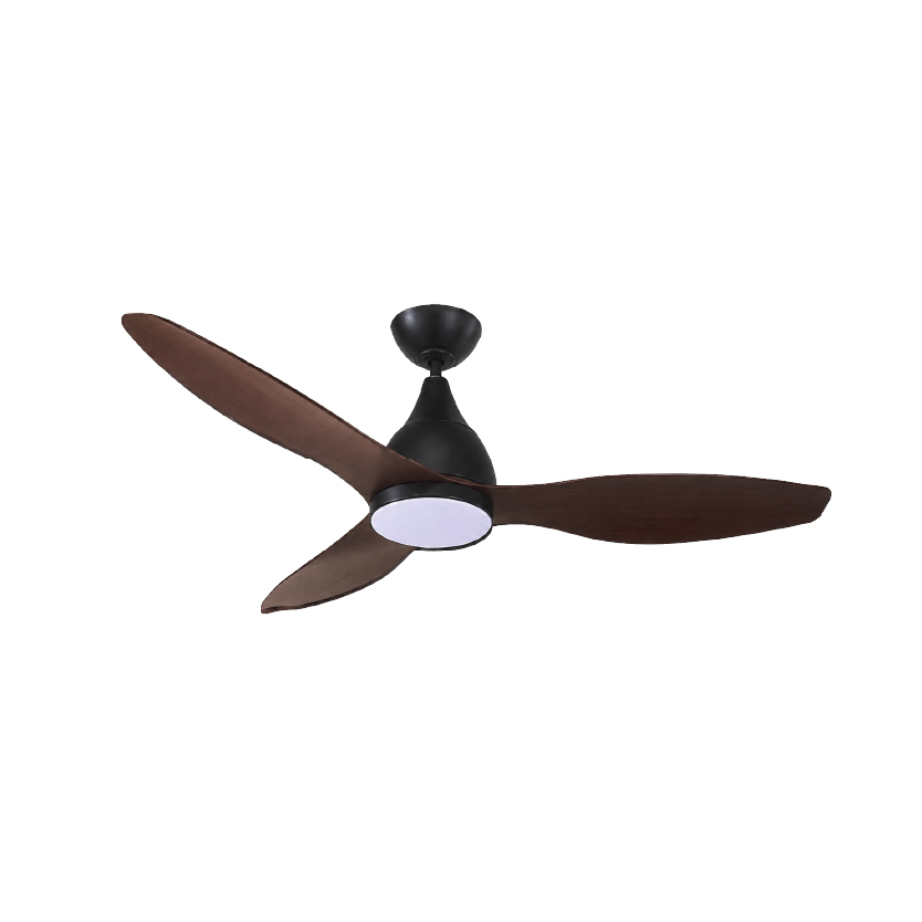 SMC: Decorative Ceiling Fan